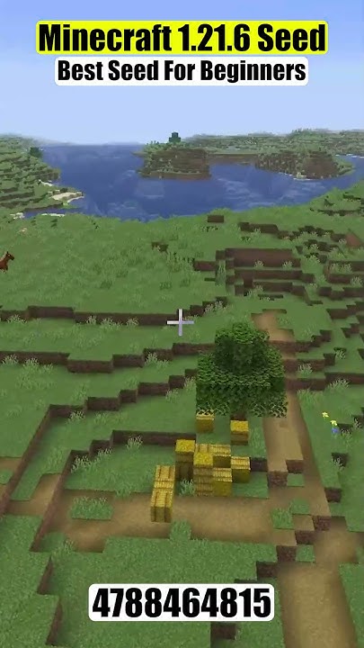 Minecraft Beginner Friendly Seed for JAVA Minecraft 1.21.6 #shorts # ...