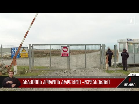 ანაკლიის პორტის პროექტი - შეფასებები