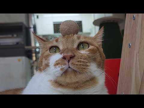 청소를 끝낸 직후에는 기분이 너무 좋아요!