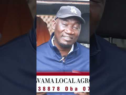 Enkoko Yo Wona Waliwo Ajyeetaaga