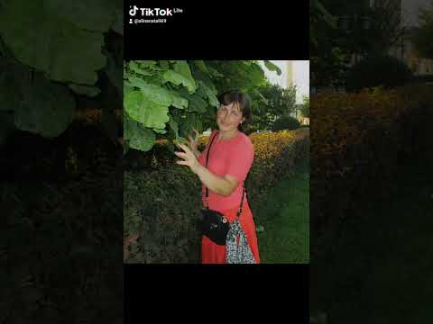 любимая песня Безам