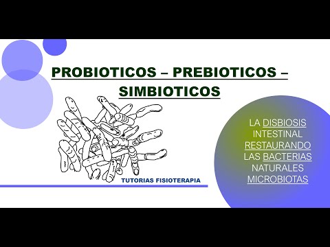 TUTORIAS FISIOTERAPIA