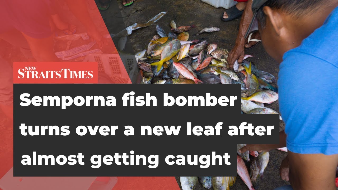 Semporna fish bomber turns over a new leaf after almost getting caught  [NSTTV]