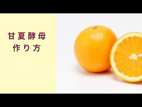 甘夏酵母の作り方 フルーツ酵母 自家製天然酵母 パン教室 教室開業 大阪 奈良 東京 福岡 名古屋