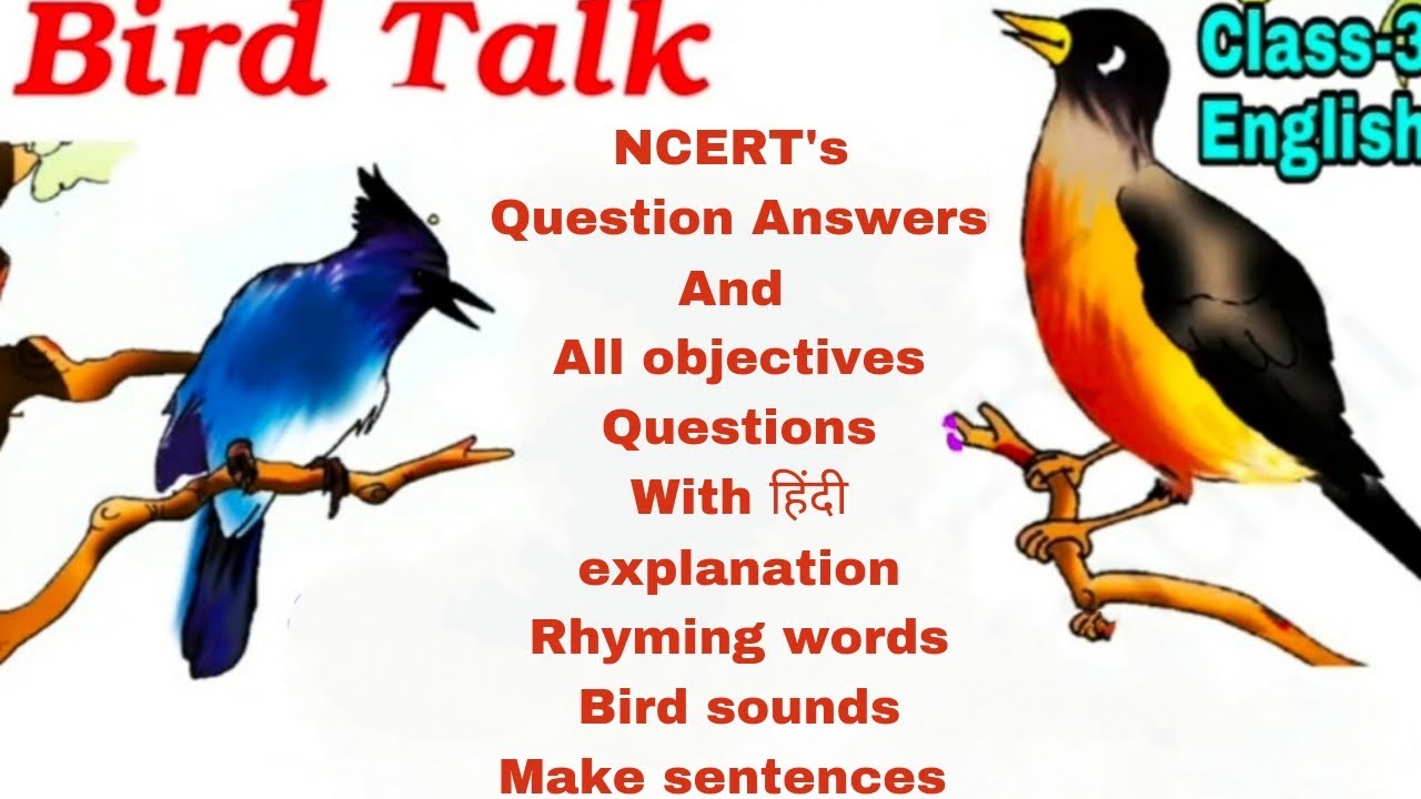 NCERT Class 3 Poem Bird talk 🐦 Question Answers and all Objectives