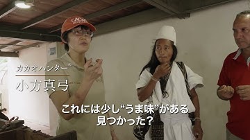 チョコレートの選び方が変わるドキュメンタリー映画『巡る、カカオ ～神のフルーツに魅せられた日本人～』予告編【2024年1月12日全国順次公開】