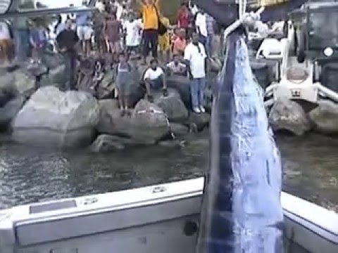 St-Martin Billfish Tournament compilation Part 2.