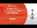 Conociendo las artes marciales japonesas: Aikido