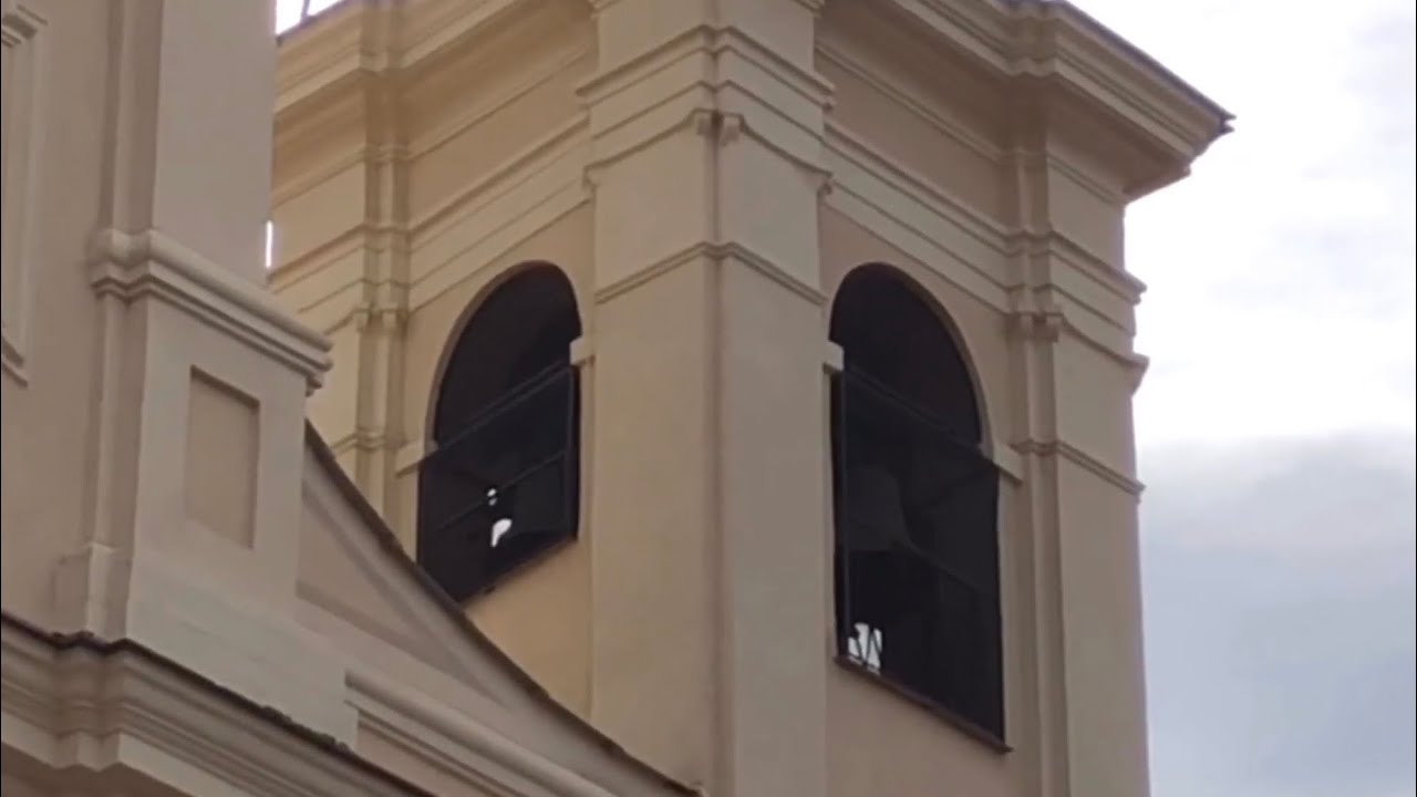 Le Campane di Pietra Ligure (SV) -Allegrezze