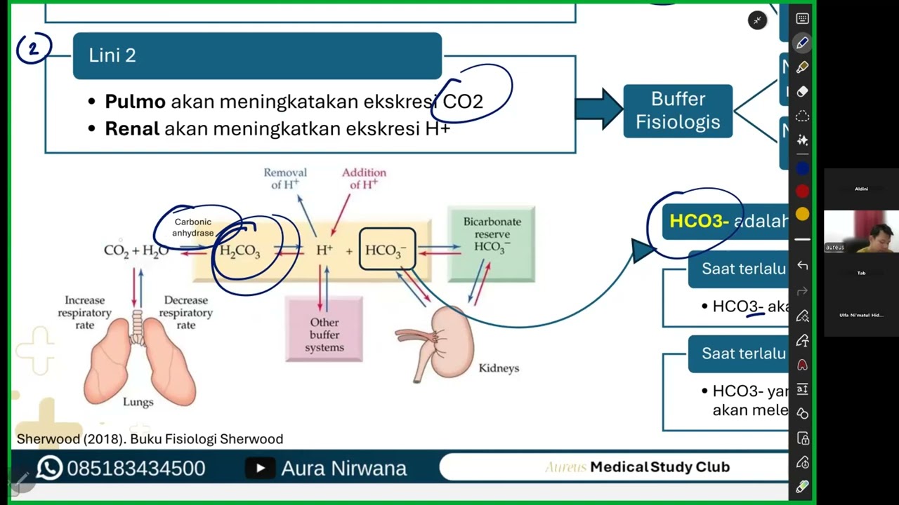 Fisiologi Keseimbangan Asam Basa - Bimbel FK Aureus Medsclub
