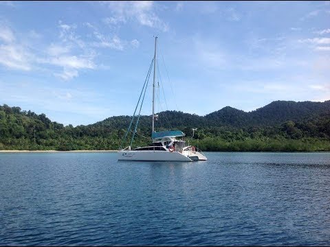 Lightwave 38 Psycho Puss Owner Testimonial