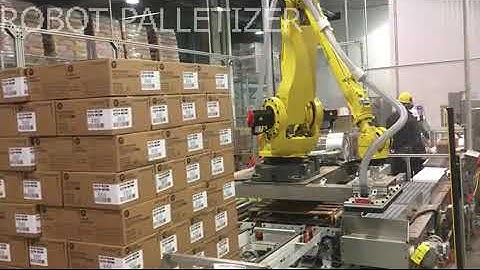 Automatic Robot Palletizer