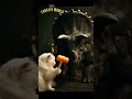 Will the Triceratops Get Angry? 🐱 vs 🦖 in a Squeaky Hammer Fight! #shorts #funny #cat