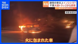 全国各地で車が「燃えている」… 静岡・車両火災の原因は「イノシシの衝突」｜TBS NEWS DIG