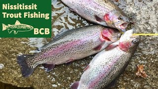 Spring 2019 Trout Fishing Nissitissit River in Pepperell Massachusetts