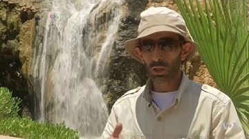 Dead Sea Shrinkage Predicts Future Mega Drought