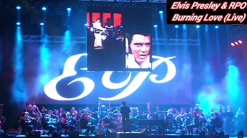 Elvis Live In Concert Ft. The Royal Philharmonic Orchestra - Burning Love