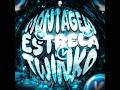 Montagem Estrela Twinko Ultra Slowed SASORIIXPP 