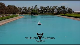 Lost In Time . V-DRIVES & WINE . Valensin Vineyard & Winery . 2024