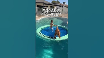 When you have the most epic pool float #poolparty #foryou #watertoy #pooltoy