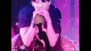 Jikook Love Yourself Speak Yourself Tour