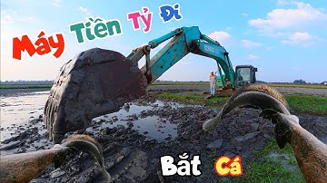 Chơi Lớn Dùng Máy Xúc Tiền Tỷ Siêu To Khổng Lồ Múc Cạn Nước Ao Để Bắt Cá / Quế Nghịch
