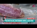 Receta de hoy: Matambre arrollado y vitel toné de supremas