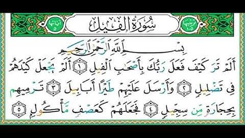 سورة الفيل - أدقّ قراءة تعليمية - الشيخ أيمن سويد