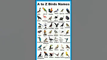 A to Z Birds names