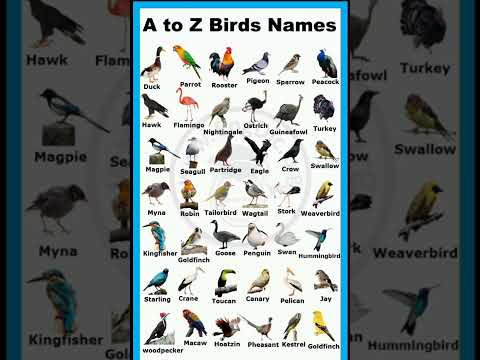 A To Z Birds Names