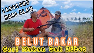 Cdaning Garden Monster Eels Directly From Nature herugunduljejaksigundul  Awesome