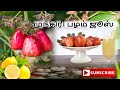 முந்திரி பழம் ஜுஸ் | Cashew fruit juice in Tamil | Healthy & tasty juice | NK Info view