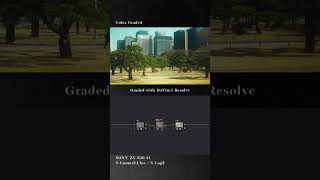 Color Grading #9 #shorts #sony #slog3 #davinciresolve #colorgrading #zve10ii