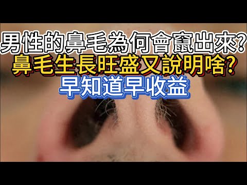 男性的鼻毛為何會竄出來？鼻毛旺盛說明什麼