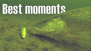 Best fishing moments underwater compilation!