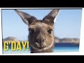 Professor Thinks Australia is NOT a Country ft. Steve Greene & DavidSoComedy