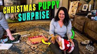Family Surprised with a Christmas Puppy