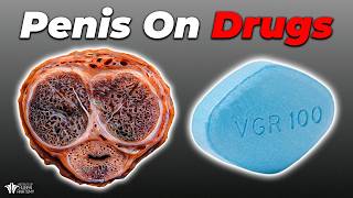 What Viagra REALLY Does to Your Body
