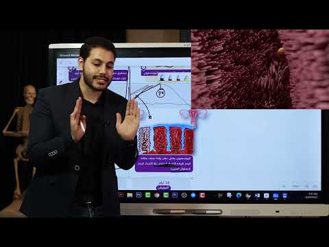 التكاثر في الانسان الاخصاب في الانسان ثانوية عامة 2023