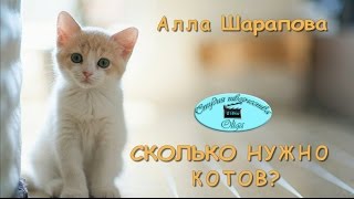 Сколько нужно котов? Сколько нужно котов?