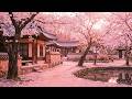 [playlist]🌸벚꽃길로 가득한 봄날을 기다리며 한옥에서 가야금 연주 15시간 연속듣기 | ASMR ⎮ 중간광고없음 ⎮ 집중 공부 힐링 휴식 감성 명상 태교음악 15Hours Mp3 Song