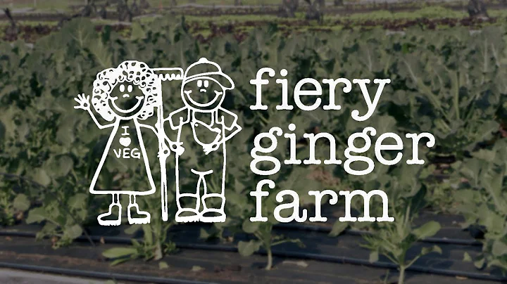 Raley's Good Never Stops - Fiery Ginger Farm