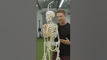 Belly Breathing Is Not Diaphragmatic Breathing