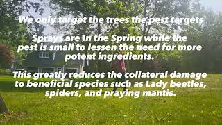 Saving our trees from the gypsy moth caterpillar