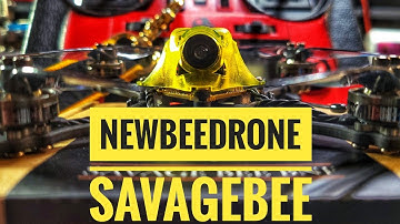 Newbeedrone Savagebee Maiden Flight 2s/crossfire