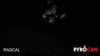 RASCAL - Pyrocan Fireworks