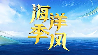 Ready go to ... https://youtube.com/playlist?list=PLpB_XL9lgFi8ONu1Gu0QppwhUmv2JjhzJ [ ãæµ·æ´å­£é£èç®å¸¦ãç»ç¥æµ·æ´ æ·±è§¦èè]