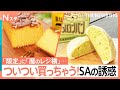 人間はなぜ誘惑に負けるの？「行列」「屋台」「限定」に「レジ橫」…“ついつい買っちゃう”×400組を徹底調査【それスタ】｜TBS NEWS DIG