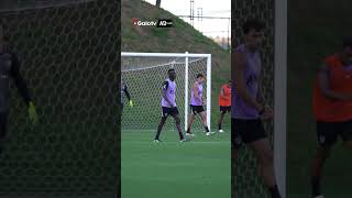REAPRESENTAÇÃO do GALO FOCADO na CHAPECOENSE