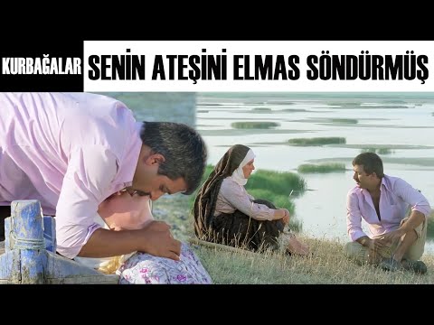 Kurbağalar Türk Filmi | Balkanlı Ali, Havva'nın Ateşini Söndüremiyor